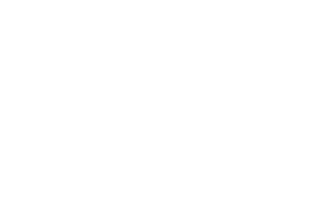 logo white